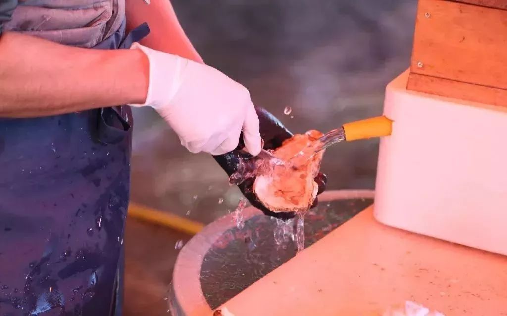 茨城县在日本什么位置,日本茨城值得去吗