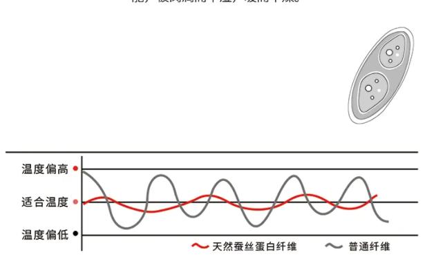 万事利蚕丝被评测,万事利秋冬蚕丝被