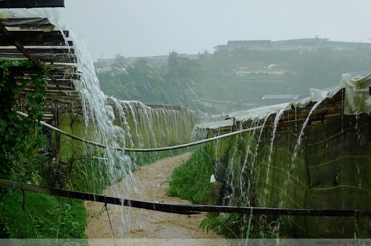 马来西亚办农庄,马来西亚农家小院