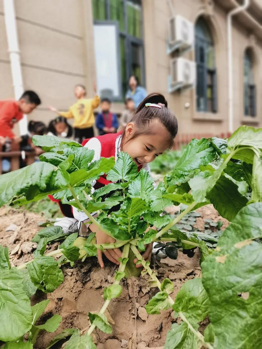 高新区汇爱国际幼稚园,高新区汇爱幼稚园的日常生活