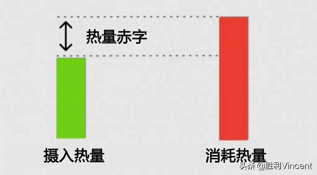 胖子练腹肌可以减肚子上的脂肪吗,最后两块腹肌上面有脂肪该怎么练