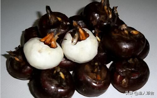 中国农产品100个地理标志品牌,2022中国地理标志农产品品牌排名