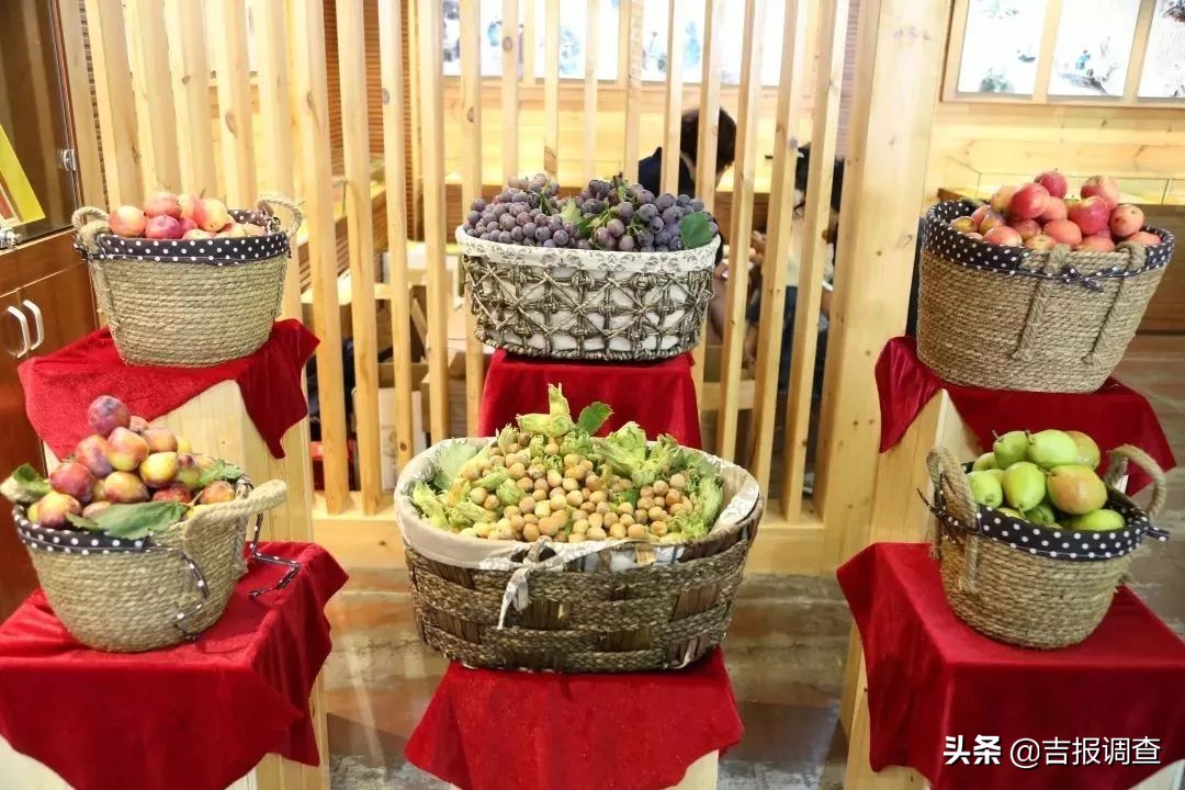 吉尼斯之最,吉尼斯之最视频