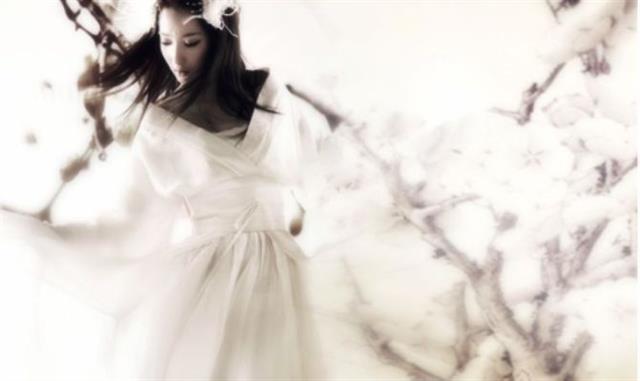 唯美古风诗情画意,唯美诗情画意且古风的句子