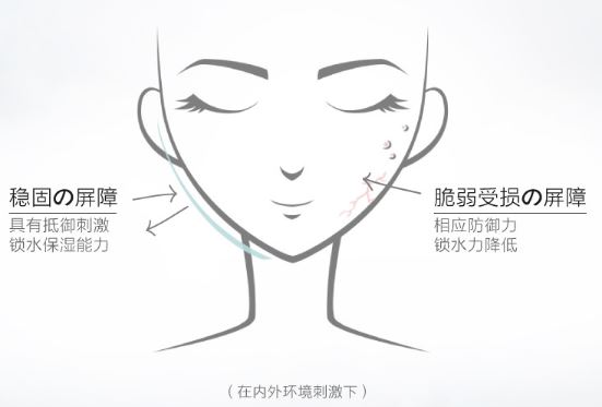 保湿补水推荐小蓝瓶,小蓝瓶小众精华