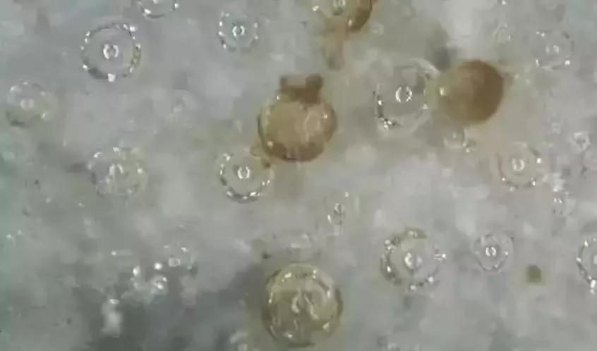 古陶瓷鉴定常识,别被忽悠了素材