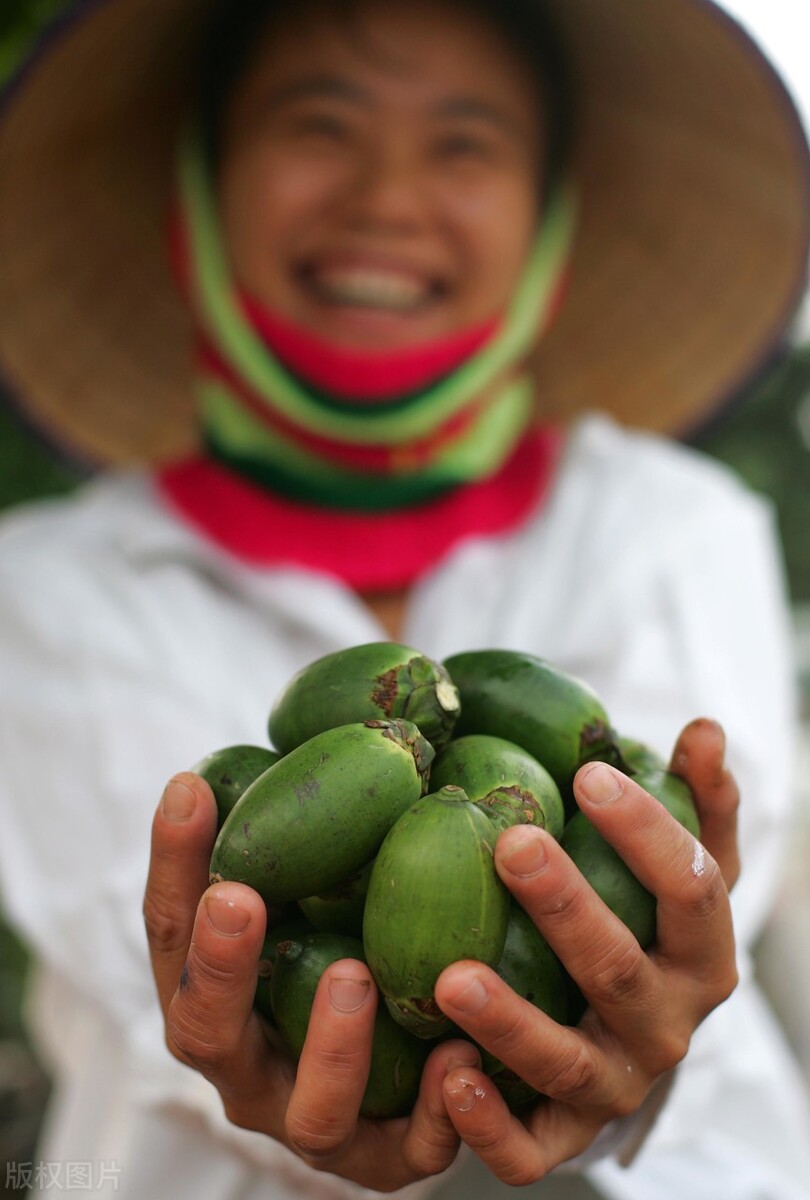 槟榔的危害这么大为什么还有人吃,槟榔有害为什么还那么多人吃