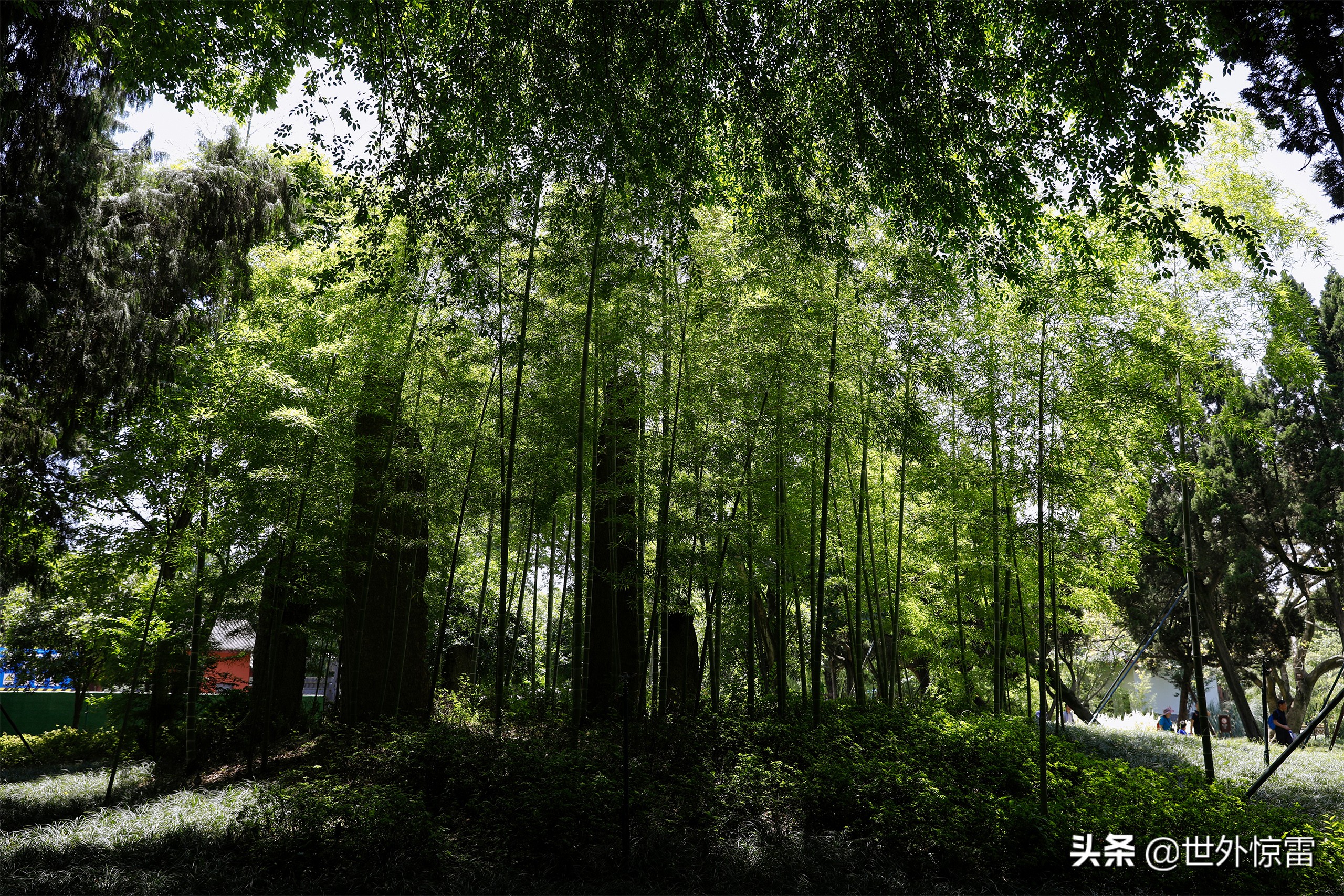 四川武侯祠自驾游攻略,四川旅行的攻略