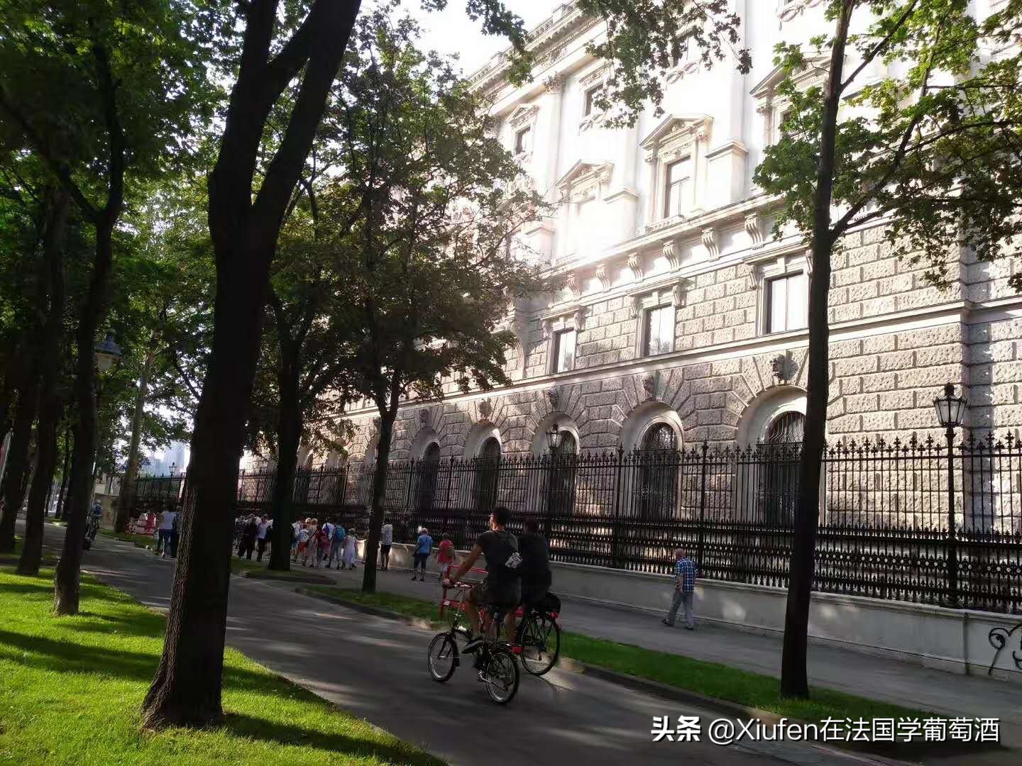 音乐之都维也纳的收获与体验,音乐之都维也纳详细表述