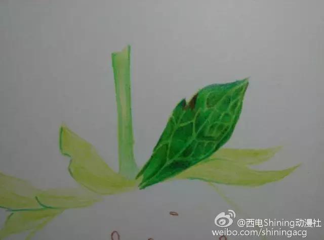 彩铅写实教学草莓,草莓蛋糕用彩铅怎么画