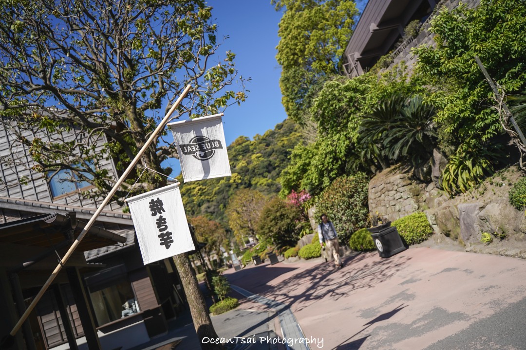 日本游轮游避坑,日本邮轮八天七夜具体行程