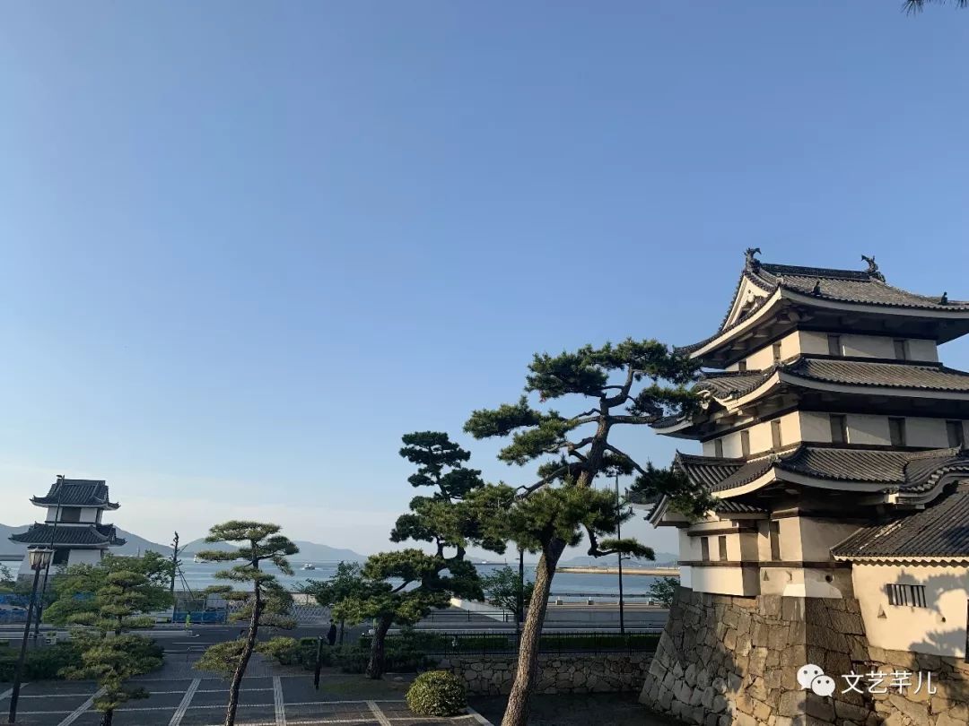 鏂囪壓鑺婂効鐢熸棩,鏂囪壓鑺婂効鐩存挱