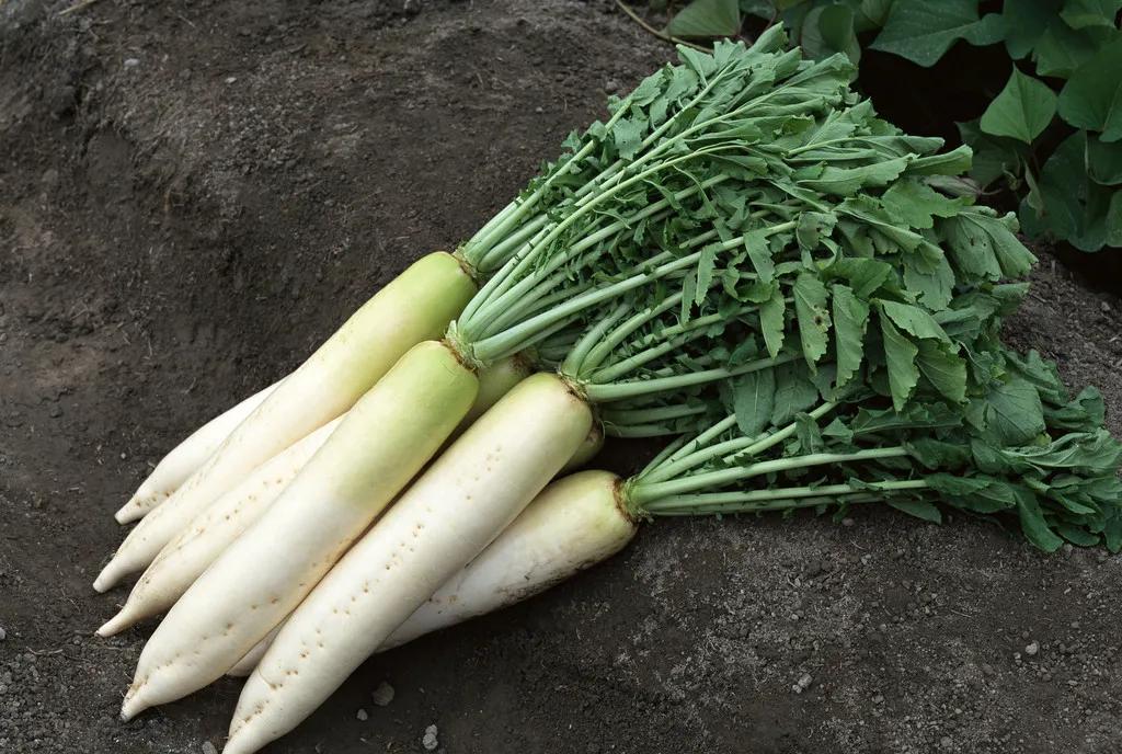 补血缓解痛经吃什么,缓解痛经的食疗方法介绍