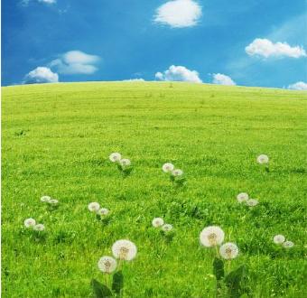 魔鬼在人间女孩怎么保护自己,魔鬼在人间防不胜防