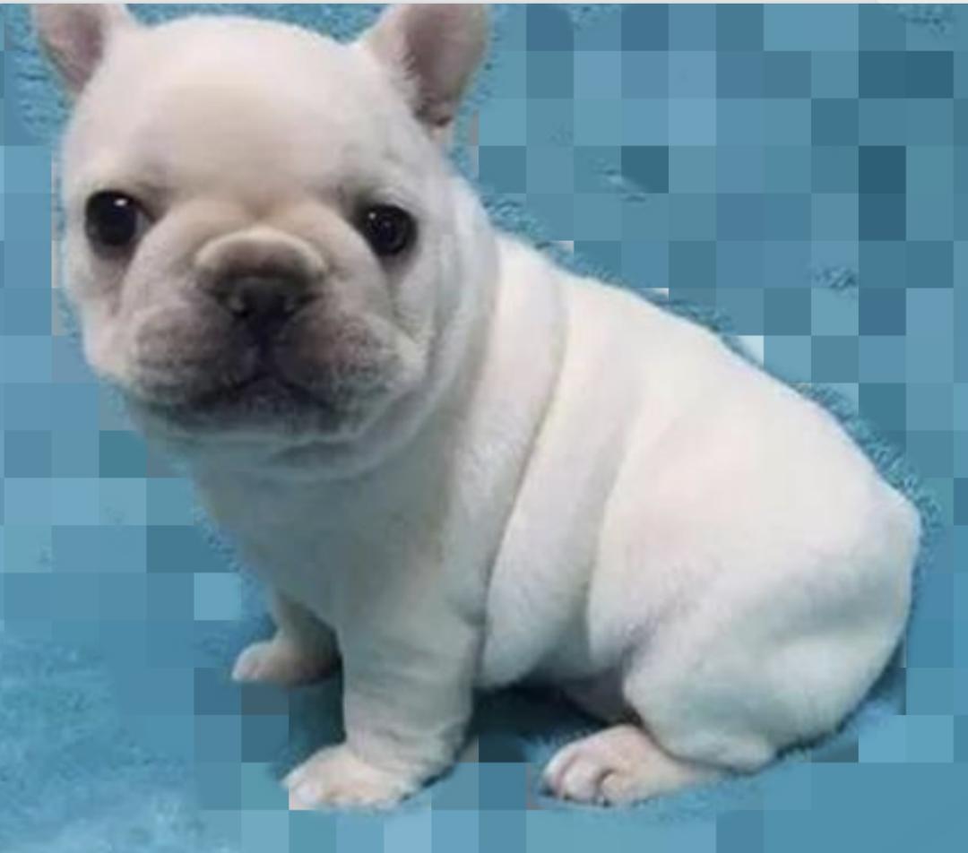 你有什么资格说爱我吗,你有什么资格说爱我完整版