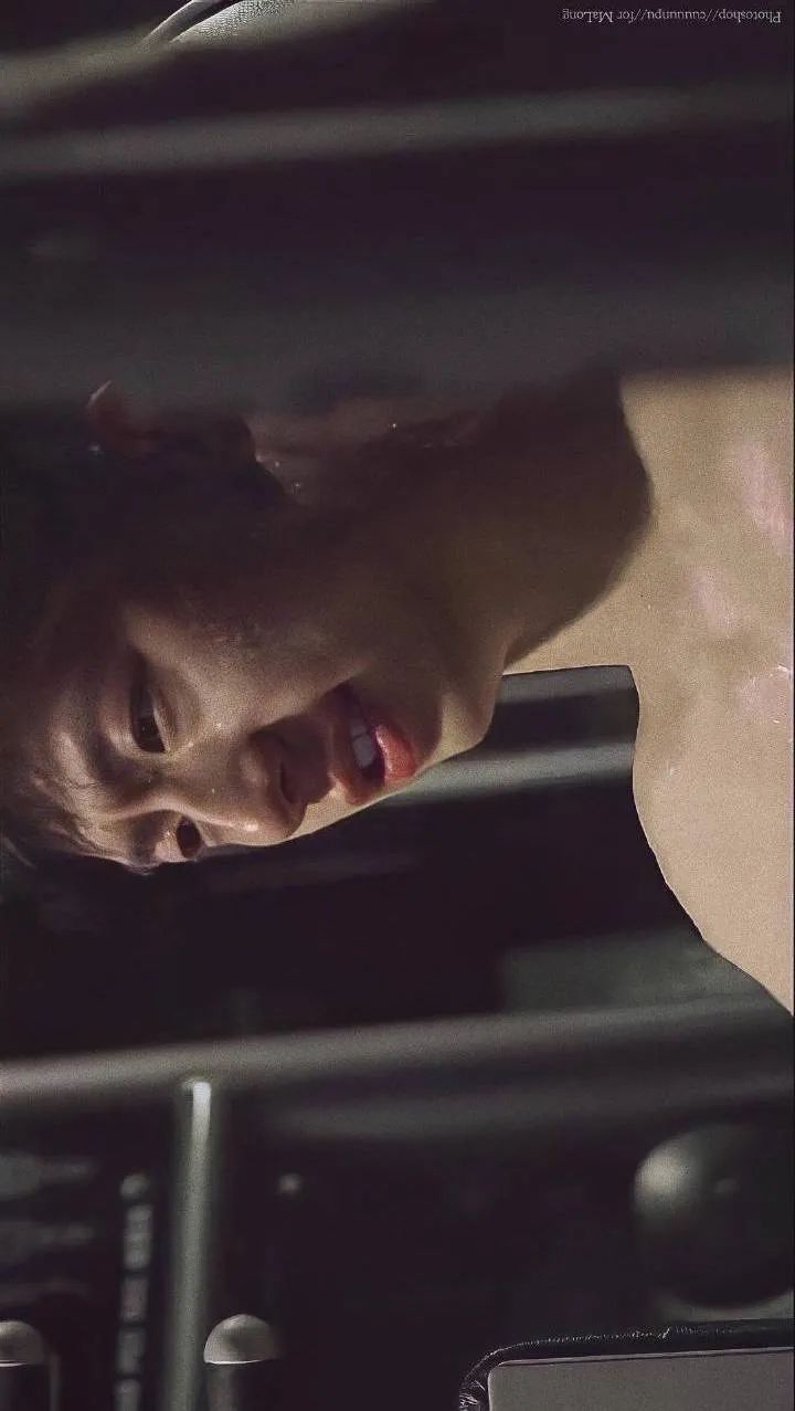 人类高质量男性,人类高质量男性羊绒