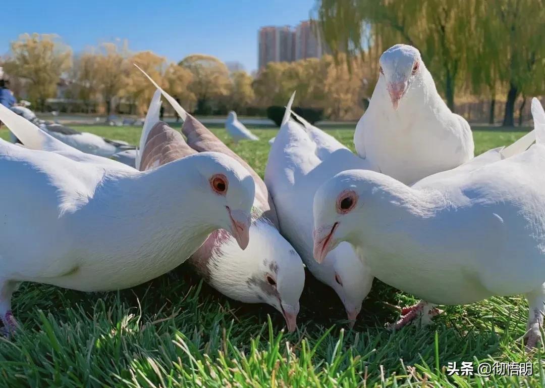 小奈良景区,北京小奈良紫玉山庄