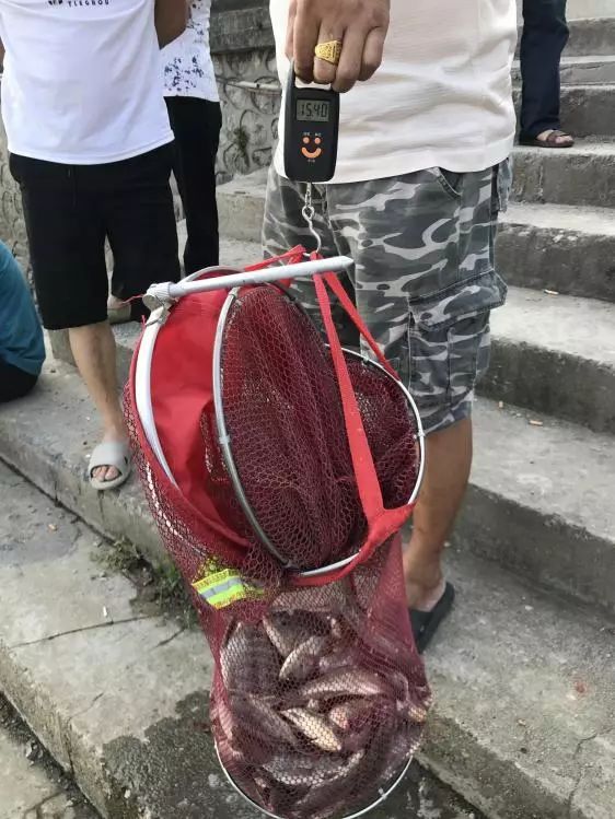 友人相约-本汀七迦爽爆竿