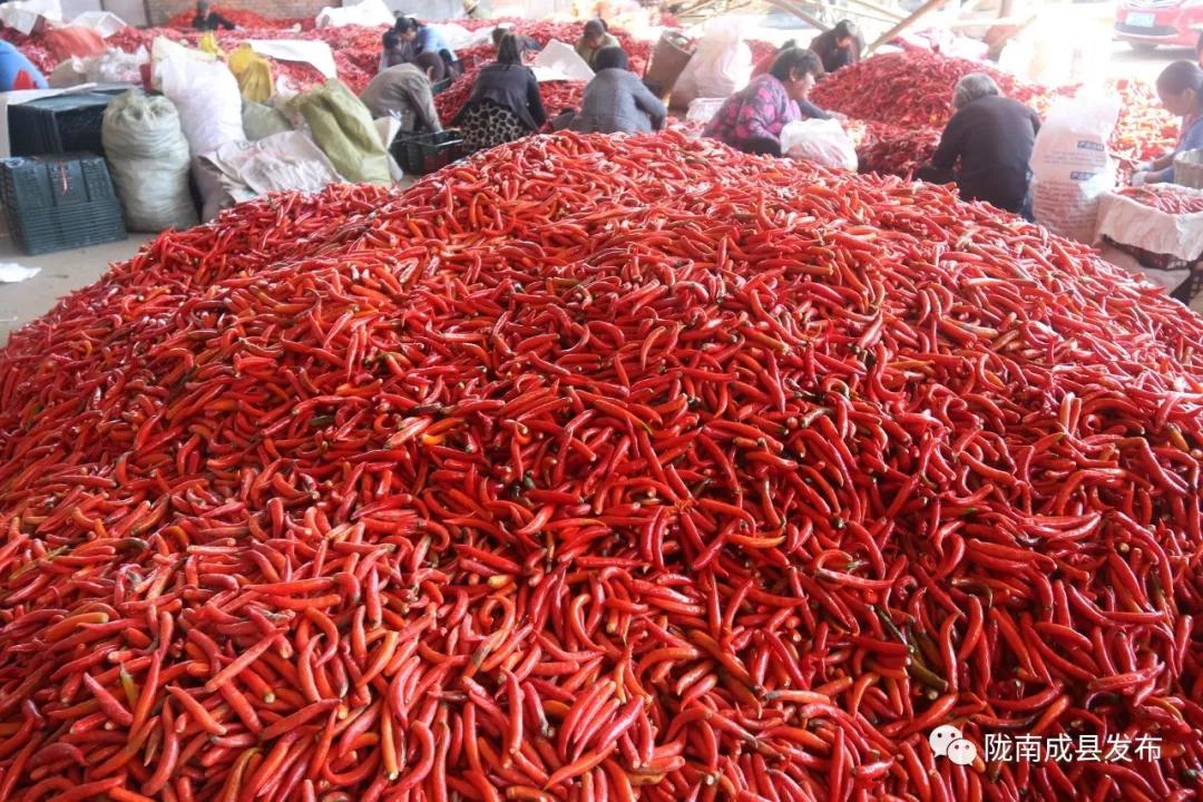 乡镇推动传统产业提档升级,乡镇多举措促进产业转型