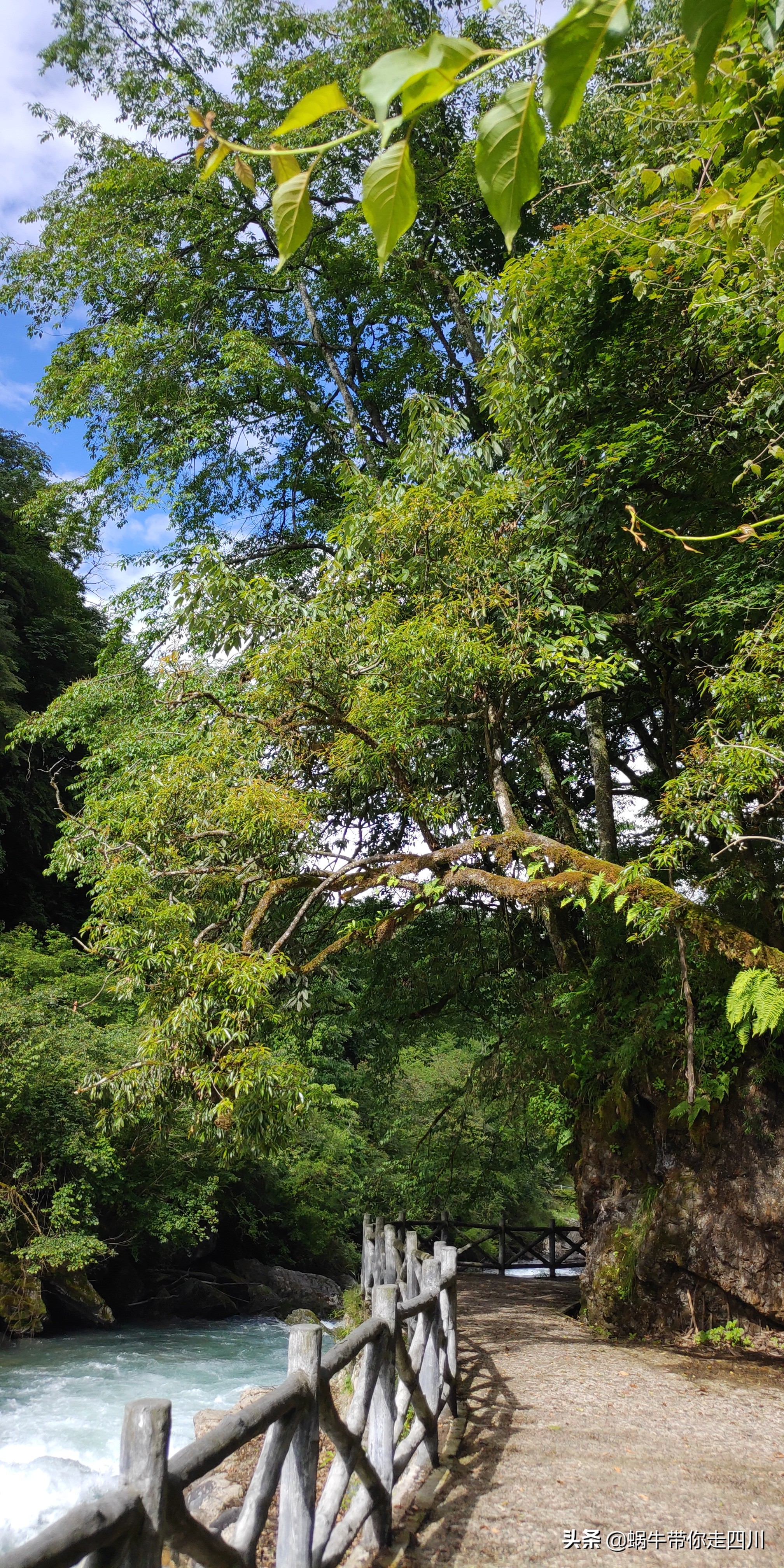 带小朋友出去看小动物,带小孩去海洋动物园