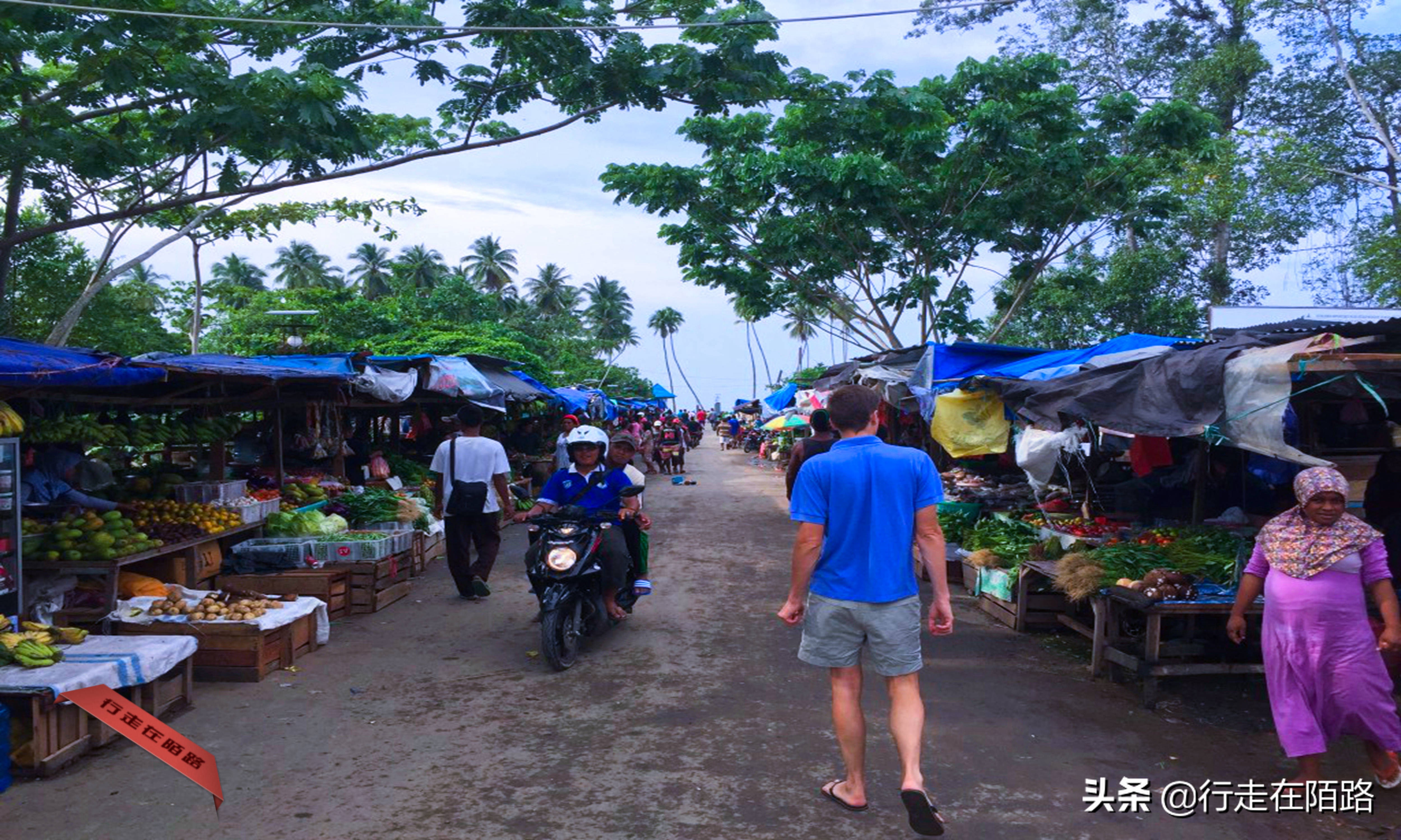 四王岛帕劳,四王岛和帕劳哪个好