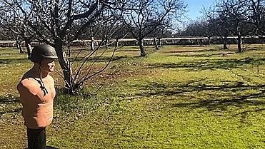 强弩的*伤杀**力能和枪械媲美吗?