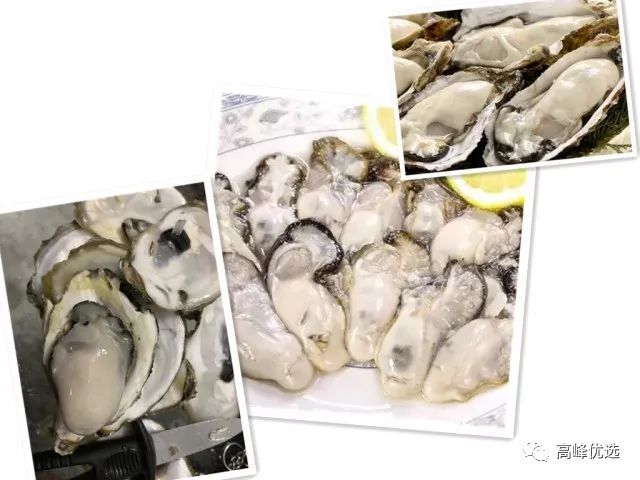 肥嫩美味的生蚝私藏美食大分享,生蚝夜宵美食推荐
