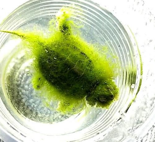 男子出差托朋友照顾他女朋友,男子出差把女友照顾