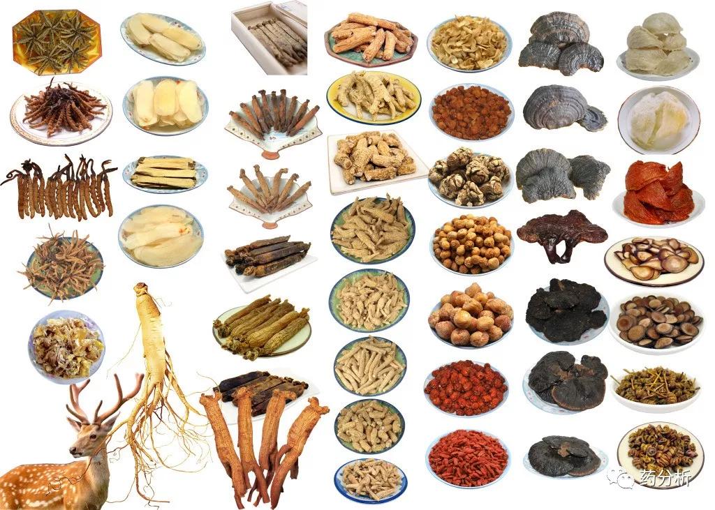 中药材鉴定教程,中药材鉴定记忆口诀