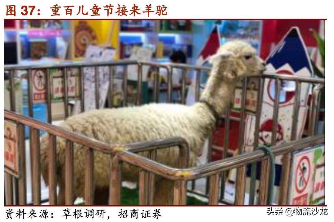 2019零售行业新趋势,2019服装零售业的趋势