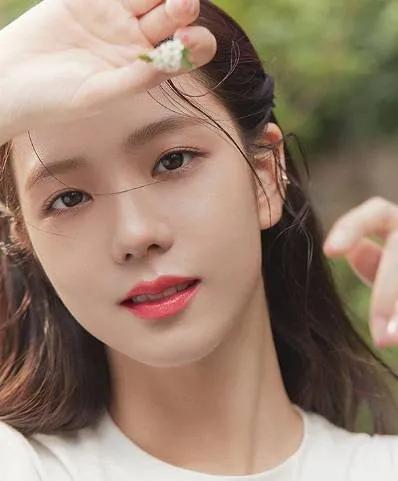 blackpink韩国爱豆粉丝,blackpink的韩国明星粉丝