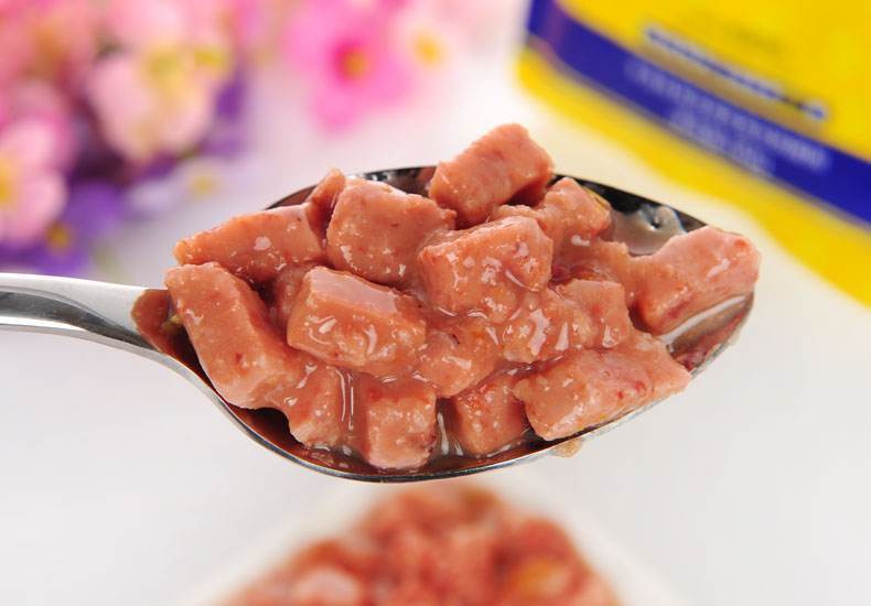 狗到底怎么喂食,狗长期挨饿该怎么喂