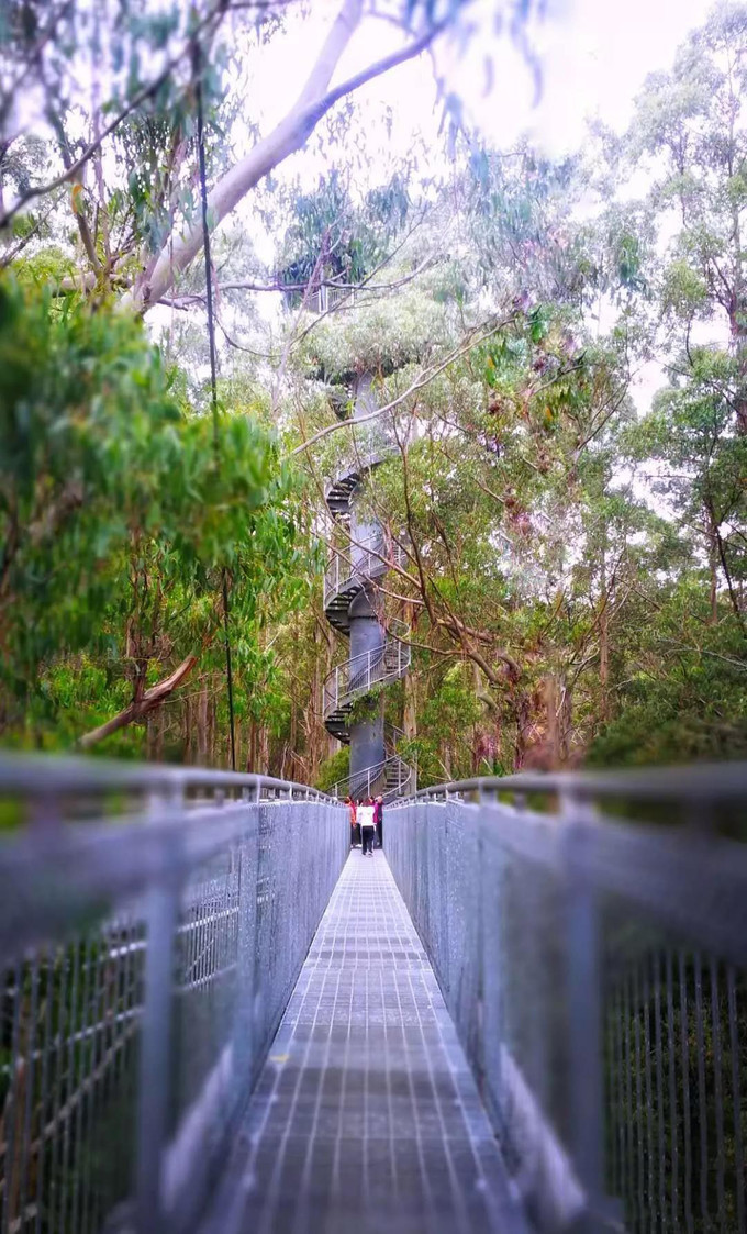 澳大利亚一年游学攻略,第一次出国去澳洲游学
