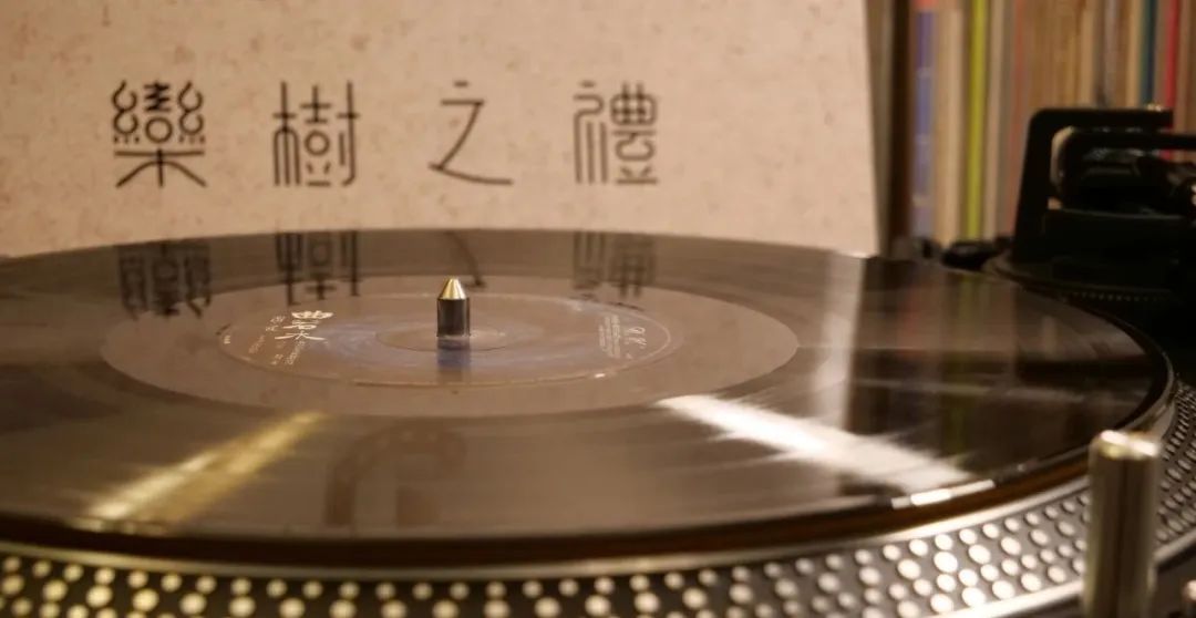 采访朴树完整版歌词,采访朴树唱的歌