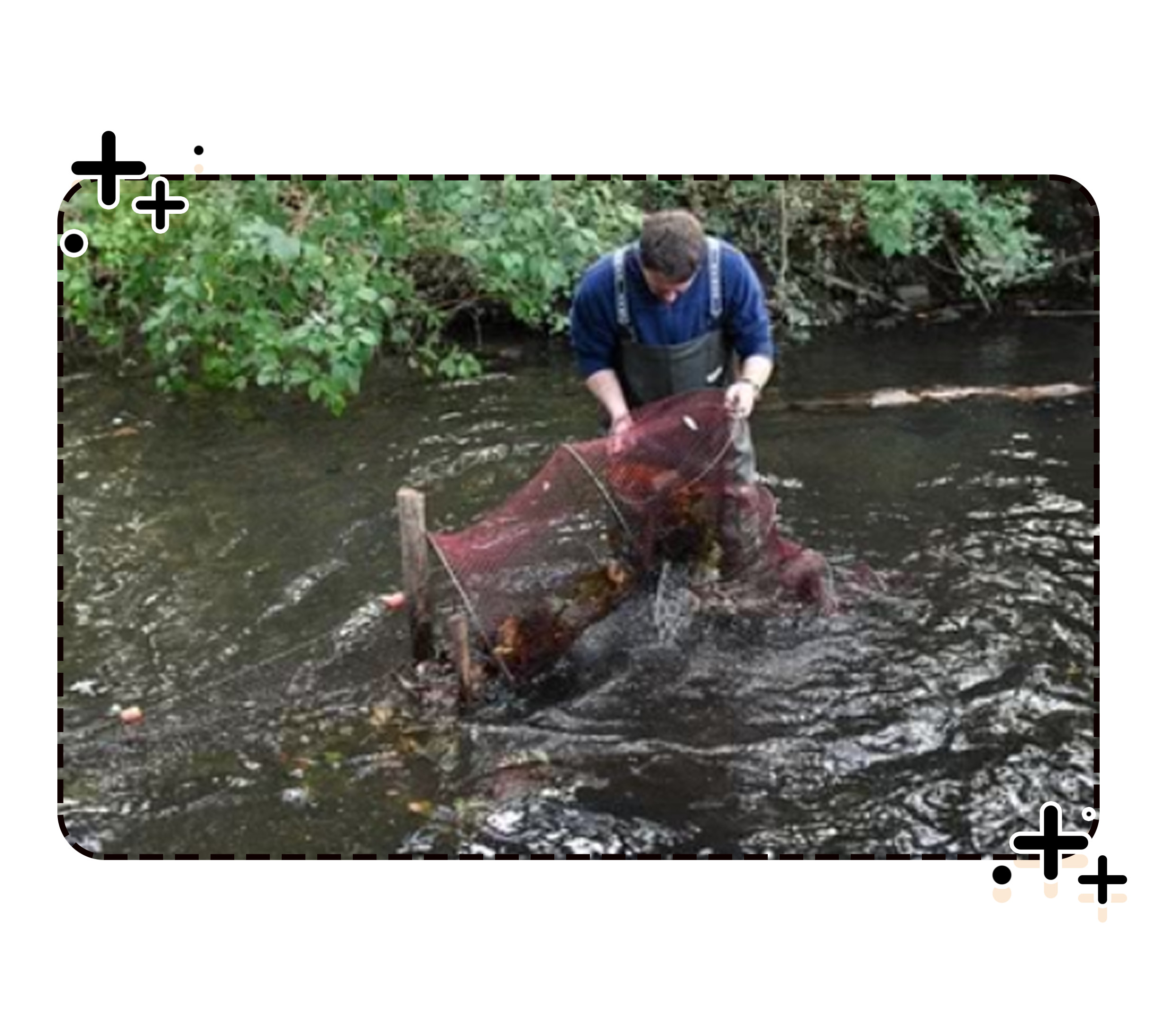 在被摆上餐桌之前，小龙虾也曾让世界人民倍感绝望（菲李漫画）