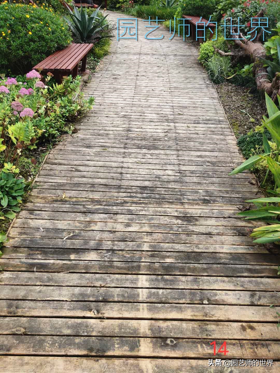 花园科学实验,花园案例及解析