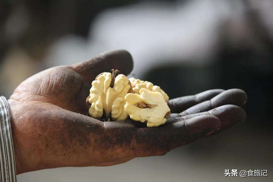 大凉山自然成熟的绿皮核桃,大凉山去青皮鲜核桃果肉饱满