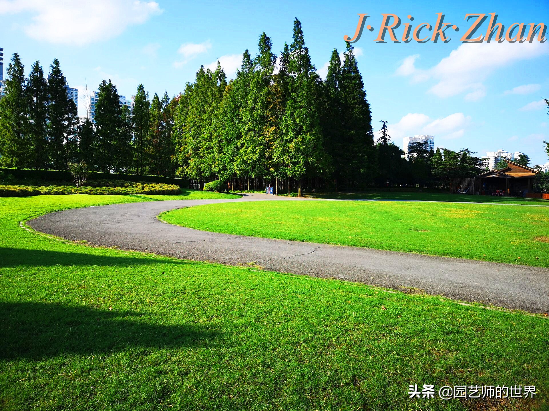 果岭草坪的种植养护方法及技巧,怎么种植一个可以躺的草坪