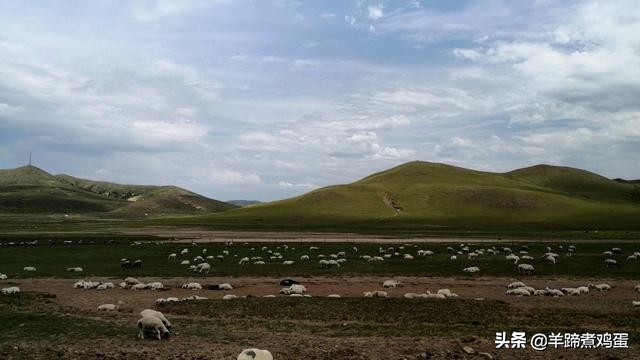 达里诺尔湖达达线,内蒙达里诺尔湖旅游攻略