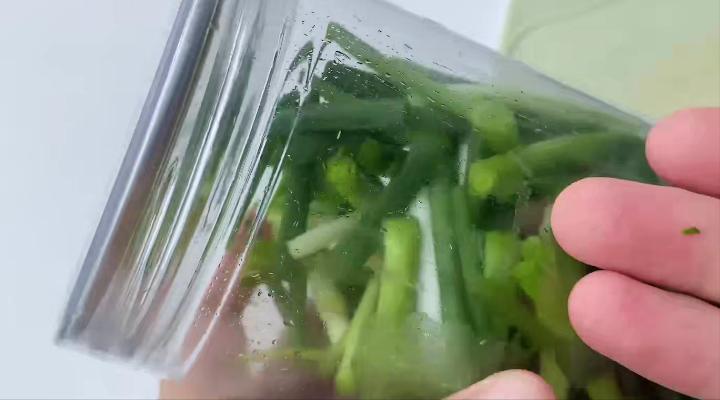 把小葱放在水里面能养活多久,把小葱插进水里能保鲜吗