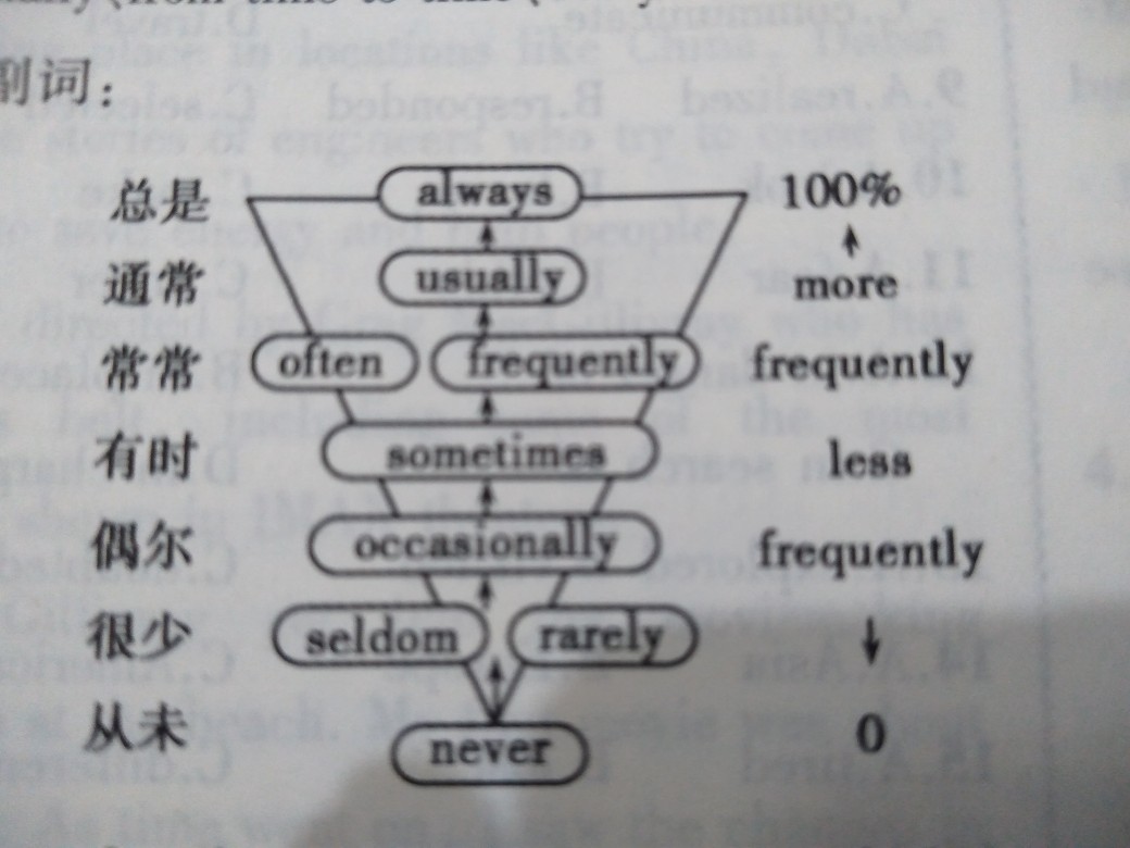 频度副词听写,频度副词应该如何背诵