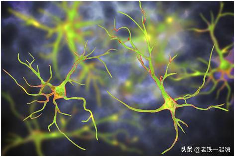 一针疗法帕金森,一次性治疗帕金森病药