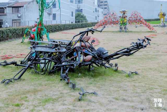 生日当天上海免费景点,上海网红打卡地点景点免费