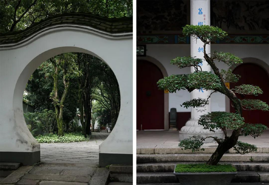 没有存在感的省叫什么,没存在感的省份