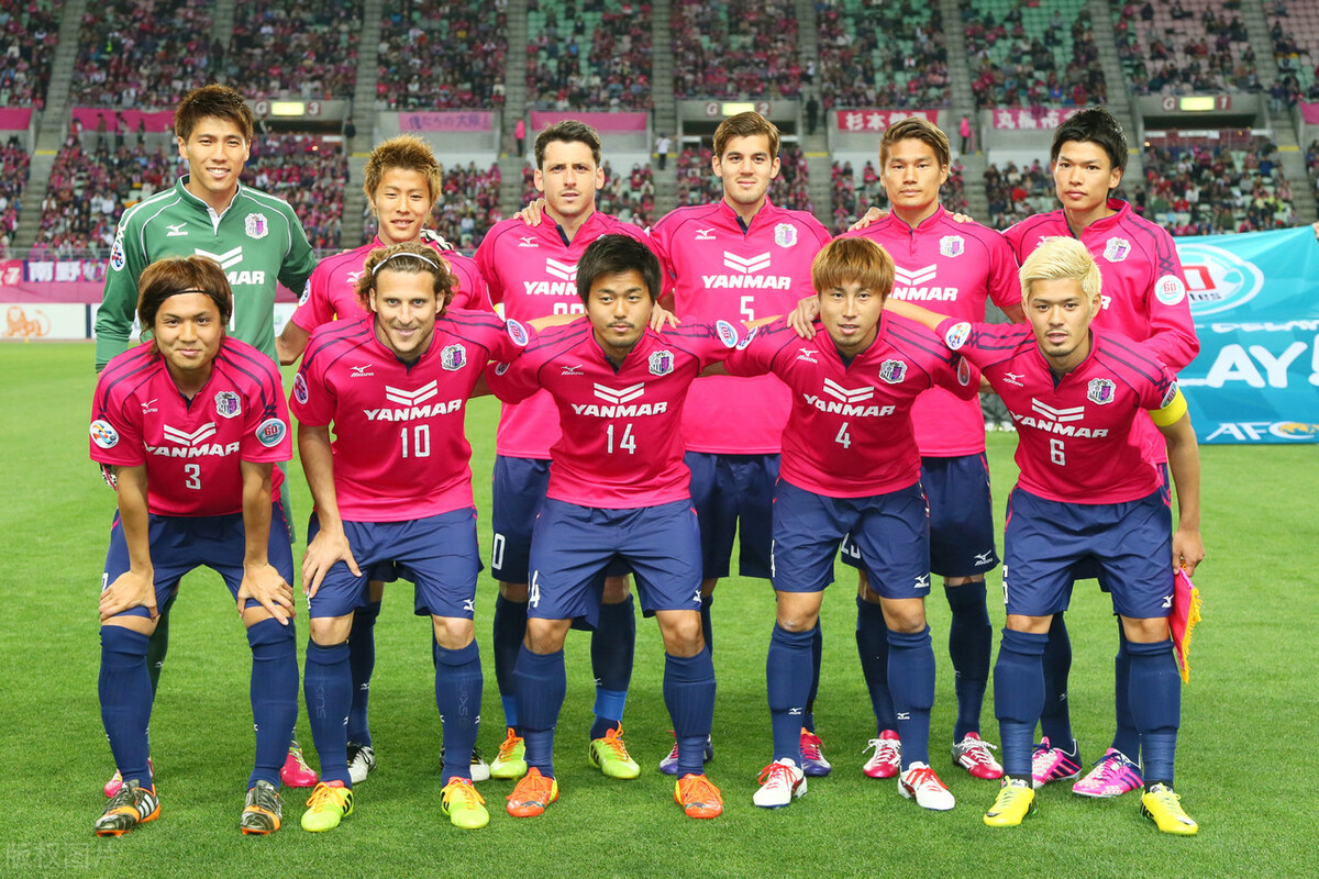 绿茵场上足球的魅力,绿茵场上的惊艳