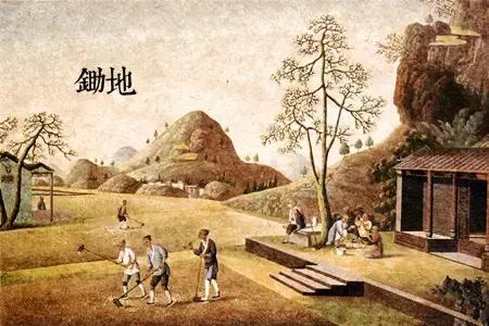 中国古代茶画100幅 (中国茶画100幅)