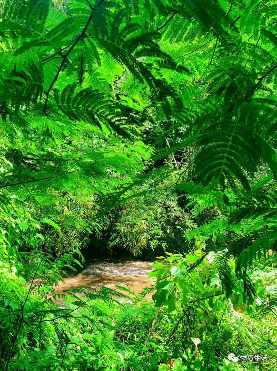 巴厘岛四季如夏吗,阳光明媚的巴厘岛