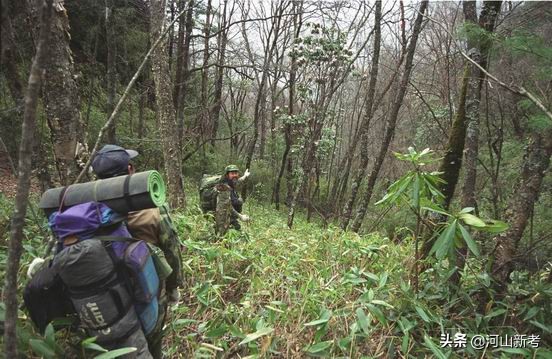 寻找野人的张金星现在如何,张金星神农架野人