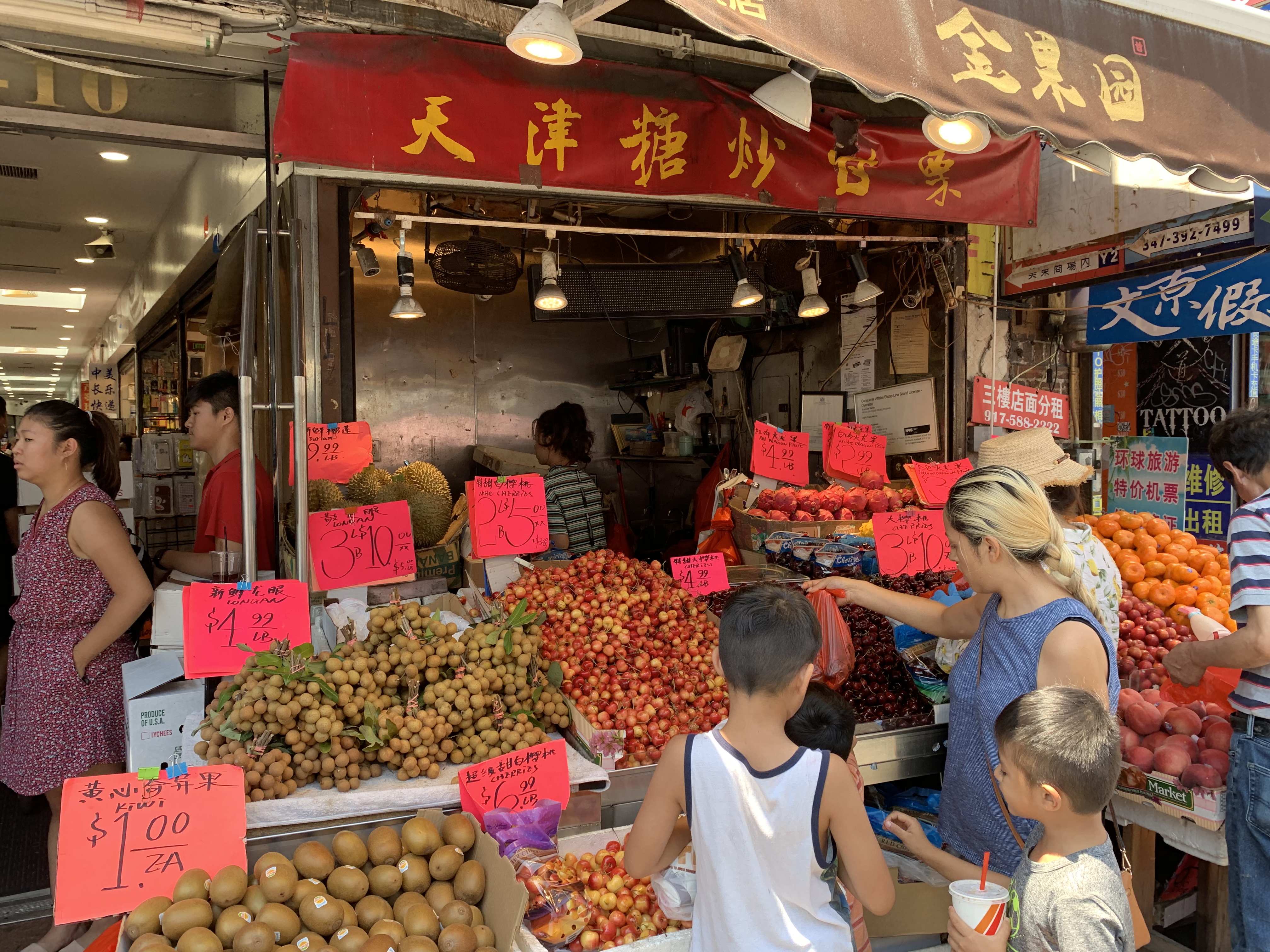 老张讲美国华人,老张说美国留学