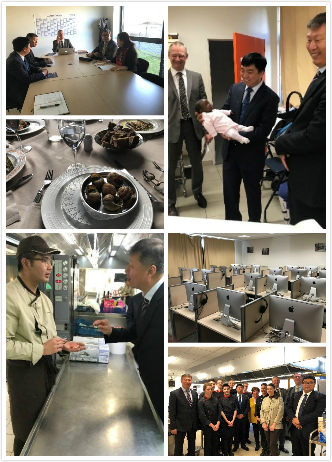 走进法国的感悟,走进法国教科书